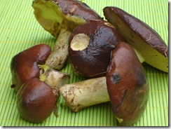 bolet bai