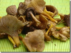 chanterelles