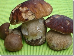 cèpes bordeaux