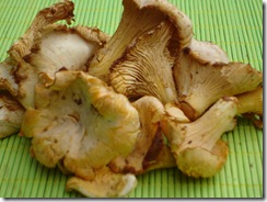 Girolles