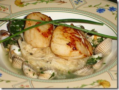 saint jacques remoulade passion