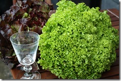 salade