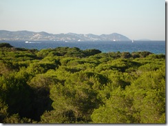 2008 06 040