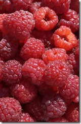 framboise1