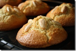 muffin amande cuisson