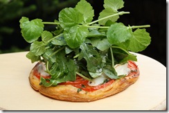 tarte fine chevre