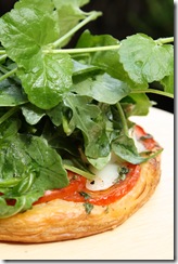 tarte fine chevre 2
