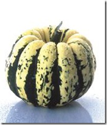 COURGE_PATIDOU_21