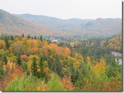 automne paysage