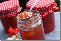 confiture peche de vigne