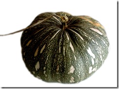 giromon