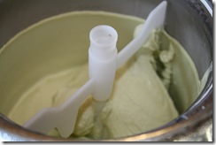 glace verveine sorbetière