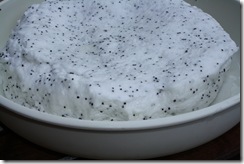 ile flottante pavot neige