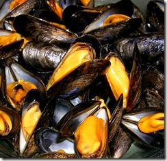 moule bouchot