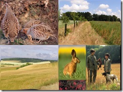 photo chasse