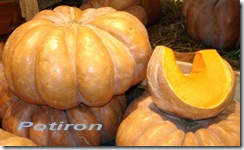 potiron