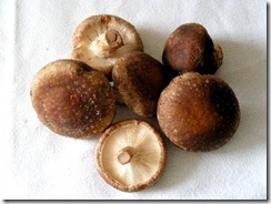 shiitake