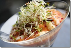 araignee mer gaspacho