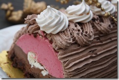 buche glacee choco 2