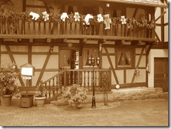 marronnier sepia