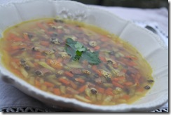 potage cultviateur 2