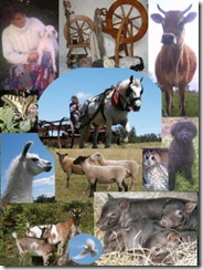 sommet animaux ferme