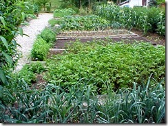 sommet potager