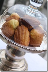 madeleine