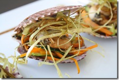 petoncle coquille zelande 2