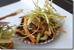 petoncle coquille zelande 3