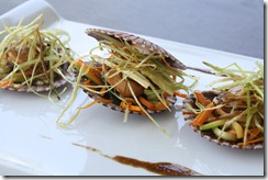petoncle coquille zelande