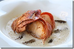 langouste infusion morille