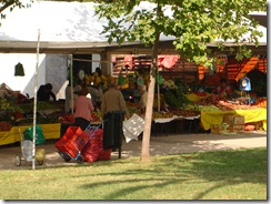 los dominicos marche 1