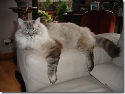 2008 01 159