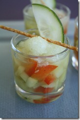 bouillon glace granite concombre 2