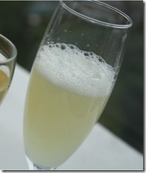 pisco