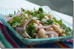 porotos chilenos 2