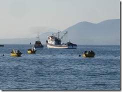 guanaqueros peche