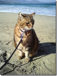 la serena lucky