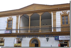 vicuna