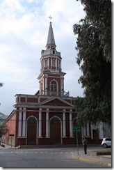 vicuna inmaculada concepcion