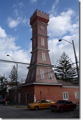 vicuna torre bauer
