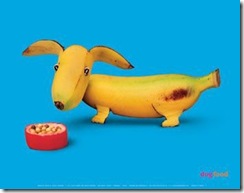 art cuisine 11