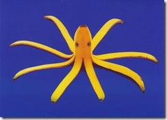 art cuisine 12