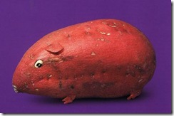 art cuisine 8