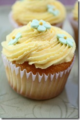 cup cake orange 2