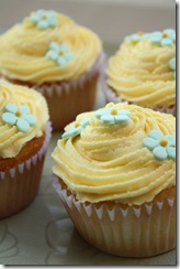 cup cake orange