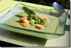 veloute printanier