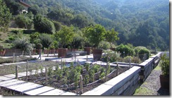 jardin aromatique