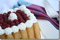 charlotte framboise 3